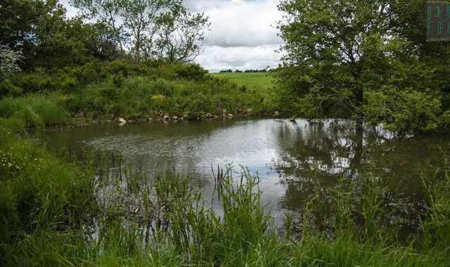 Il Pulicchio e il Laghetto di San Giuseppe: oasi solitarie immerse nell'Alta Murgia